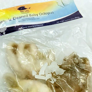 Baby-Octopus