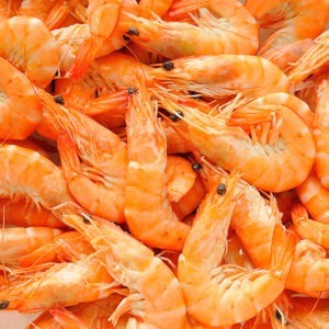 Crevettes Cooked