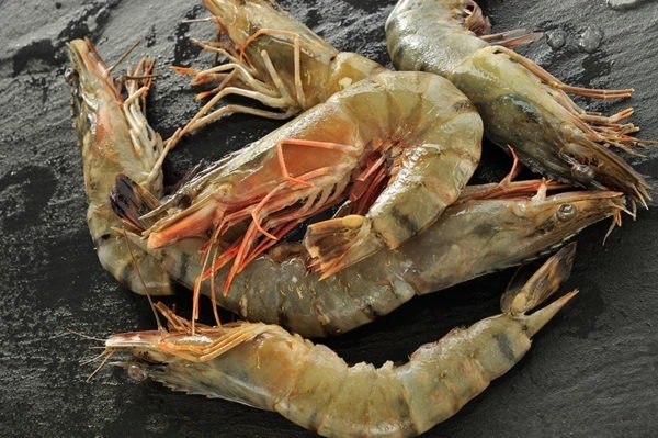 Crevettes Raw