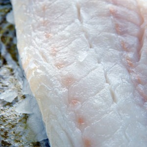 Cod Fillets