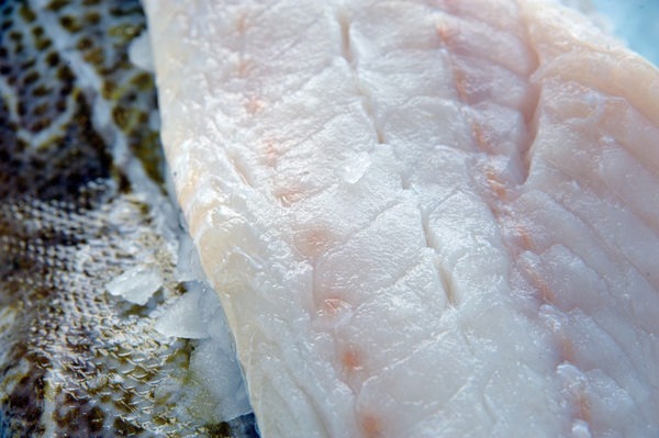 Cod Fillets