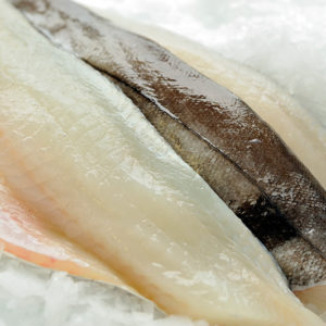 Haddock Fillets