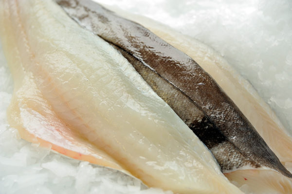 Haddock Fillets