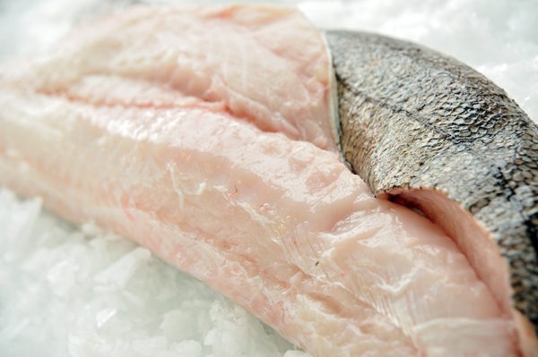 Hake Fillets