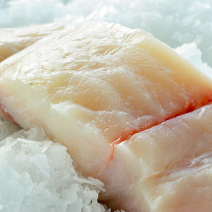 Halibut Fillet