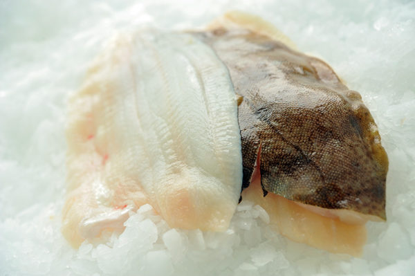Lemon Soles