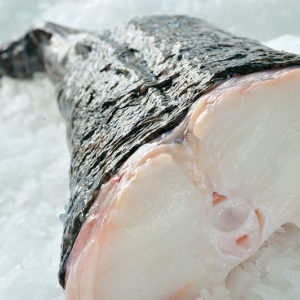 Monk Fish
