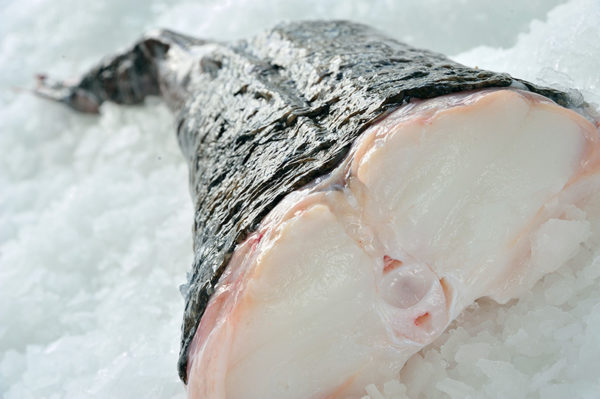Monk Fish