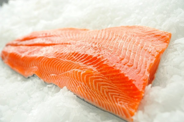 Salmon Fillets