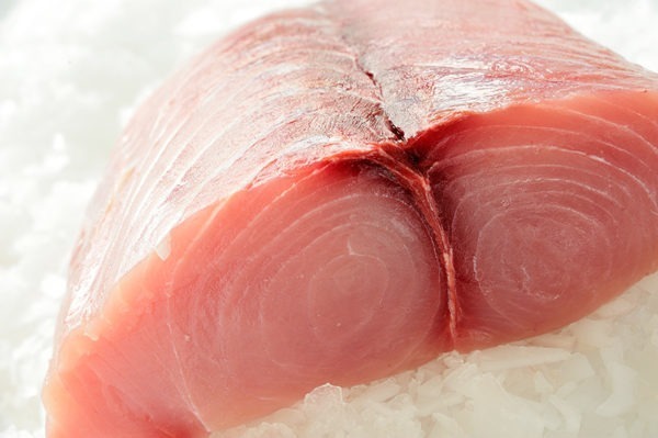 Swordfish