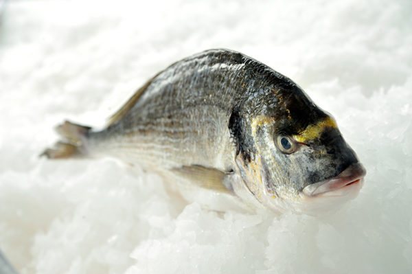 Whole-Bream