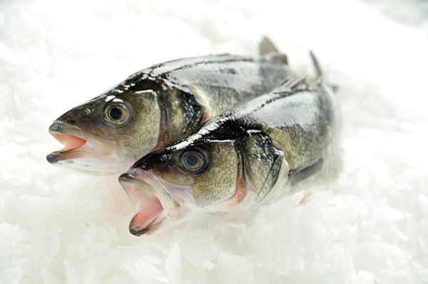 Whole-Sea-Bass