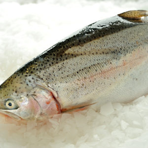 Whole Trout