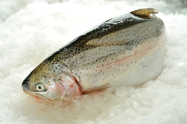 Whole Trout