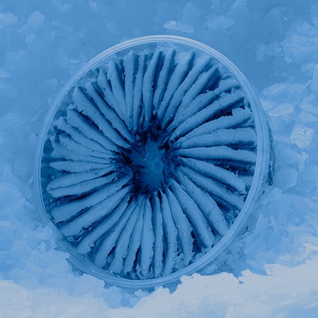 our-chilled-products