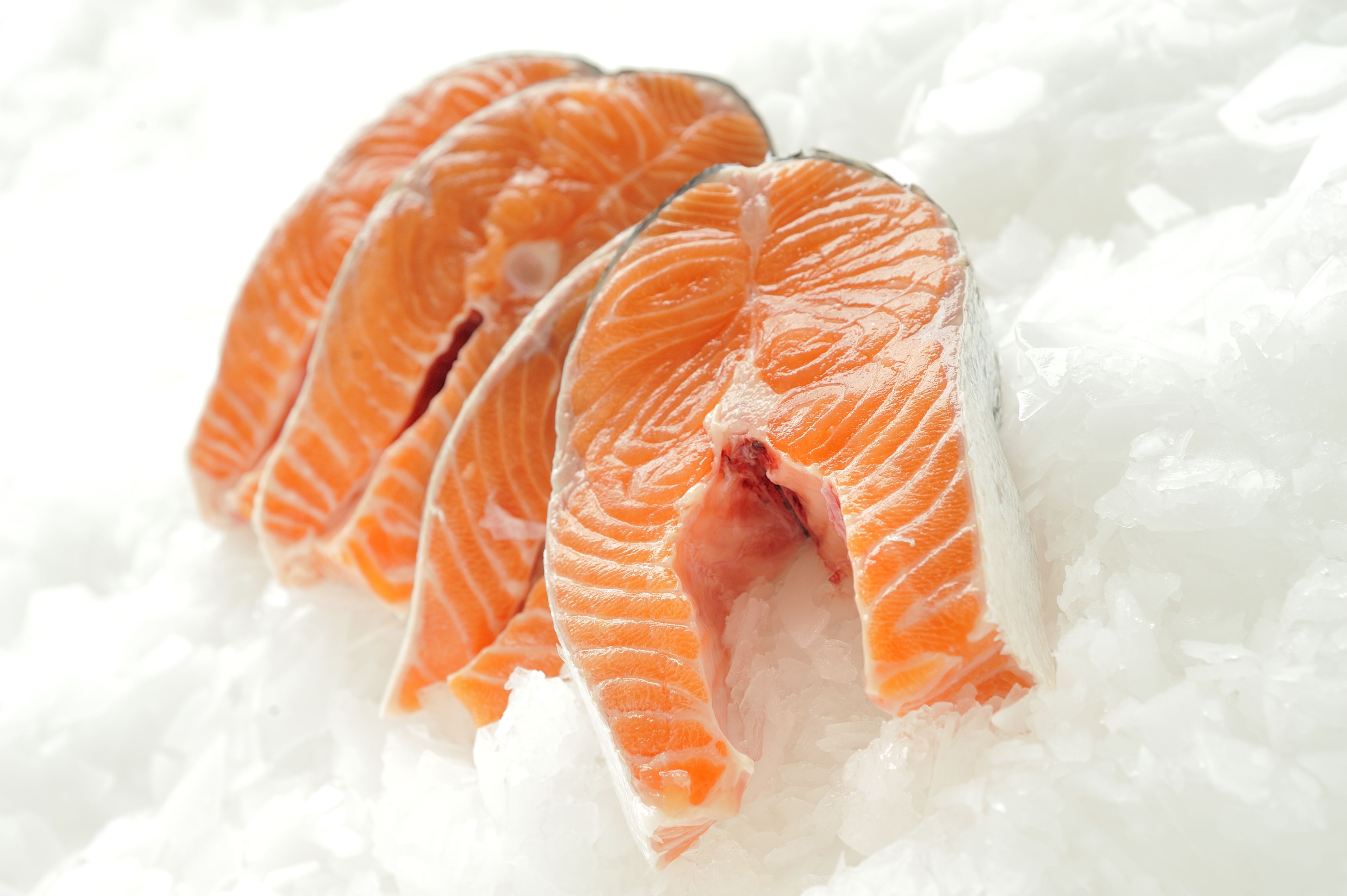 K Stansfield Wholesale Fish and Seafood Supplier Grimsby